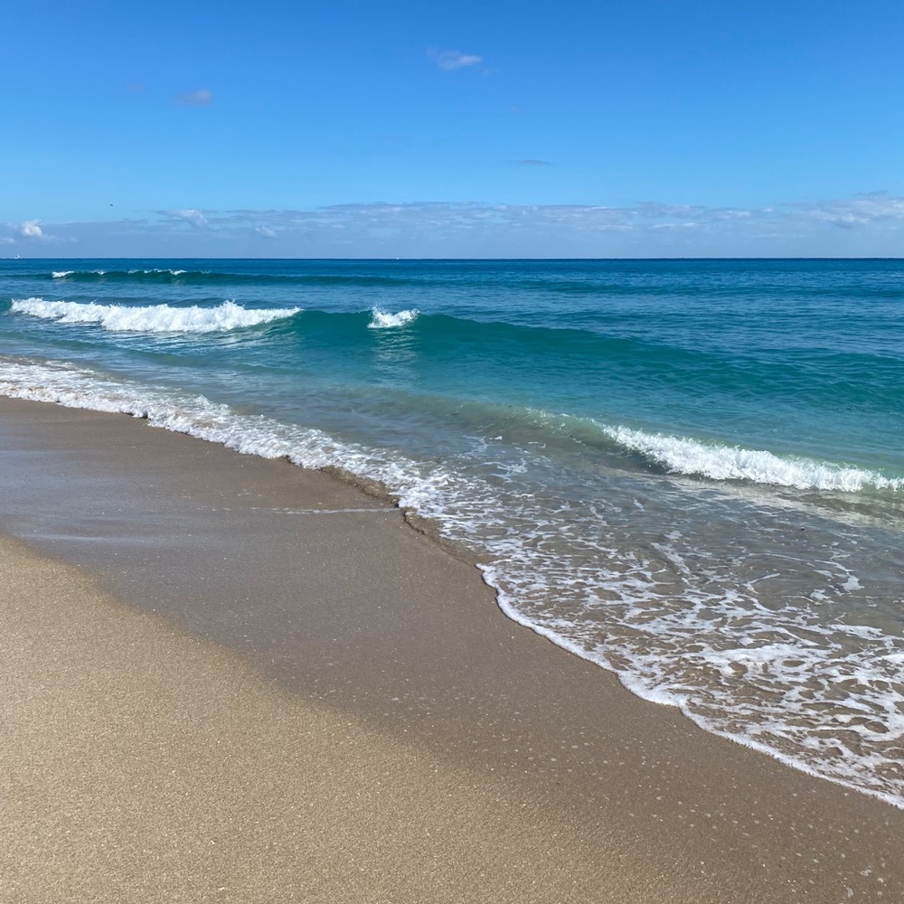 Meet your Posher, Tori